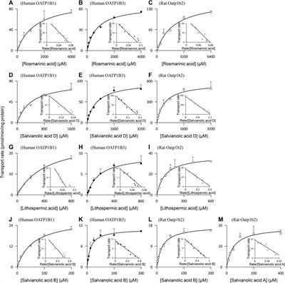 Molecular Basis Underlying Hepatobiliary and Renal Excretion of Phenolic Acids of <mark class="highlighted">Salvia</mark> miltiorrhiza Roots (Danshen)